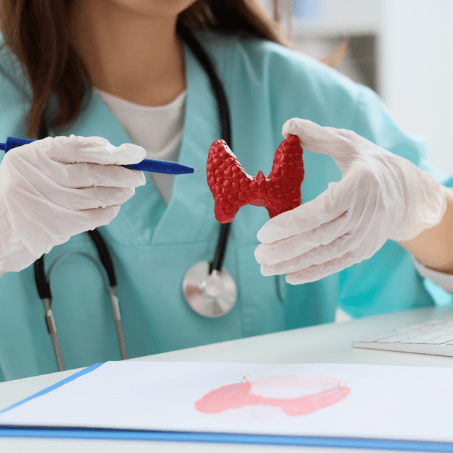 Endocrinologie