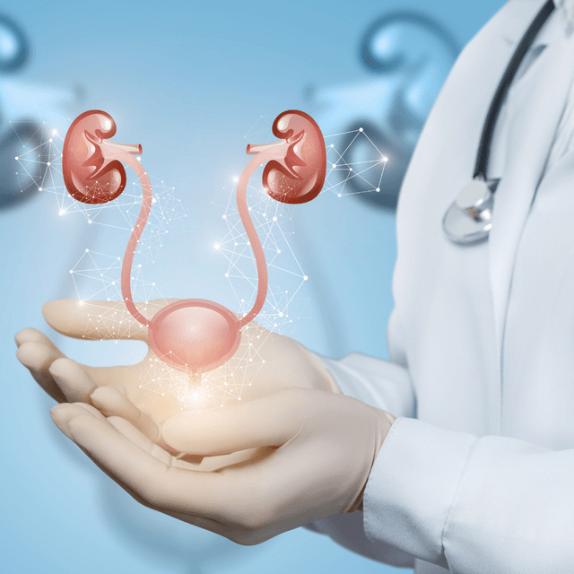 Urologie